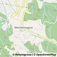 Peta Camaiore