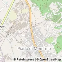 Hartă Camaiore