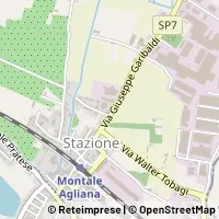 Kort Montale