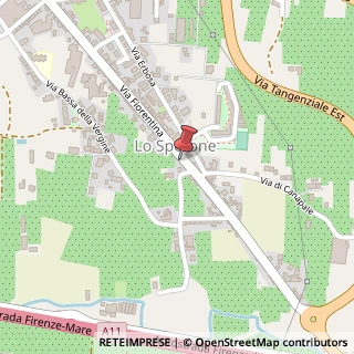 Mappa Strada Statale Fiorentina, 286, 51100 Pistoia, Pistoia (Toscana)