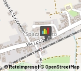 Elettrauto Pistoia,51100Pistoia