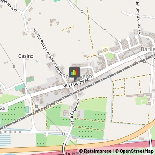 Feste - Organizzazione e Servizi,51100Pistoia