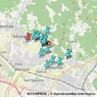 Mappa Via Giunti, 59013 Montemurlo PO, Italia (1.218)