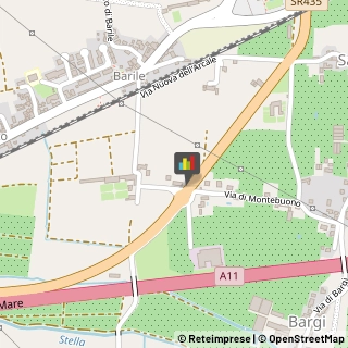 Animali Domestici - Centri Allevamento e Addestramento,51100Pistoia