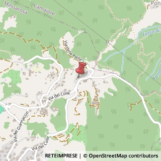 Mappa Via del Colle, 836, 55054 Massarosa, Lucca (Toscana)