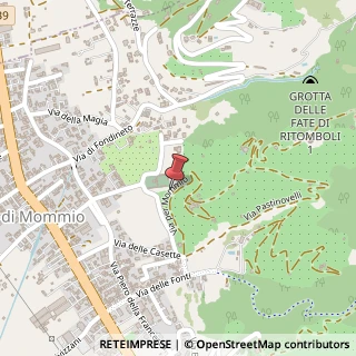 Mappa Via Demetrio Rontani, 1095, 55054 Massarosa, Lucca (Toscana)