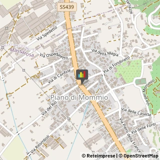Pescherie Massarosa,55054Lucca