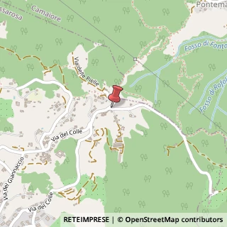Mappa Via del Lucchese, 10/E, 55054 Massarosa, Lucca (Toscana)