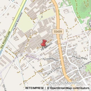 Mappa Via Spedetto,  2, 55041 Camaiore, Lucca (Toscana)