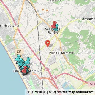 Mappa 55041 Camaiore LU, Italia (3.07667)