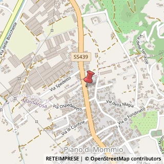 Mappa Via Sarzanese, 8258, 55040 Massarosa, Lucca (Toscana)