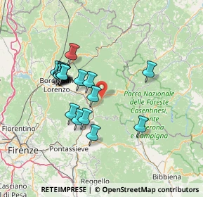 Mappa S.S.67 KM.40, 50060 San Godenzo FI, Italia (13.0355)