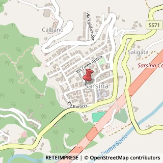 Mappa Via Roma, 18, 47027 Sarsina, Forlì-Cesena (Emilia Romagna)