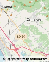 Poste Camaiore,55041Lucca