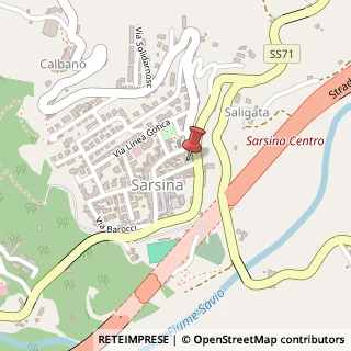 Mappa Via IV Novembre, 24, 47027 Sarsina FC, Italia, 47027 Sarsina, Forlì-Cesena (Emilia Romagna)