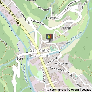 Locali, Birrerie e Pub San Pietro Mussolino,36070Vicenza