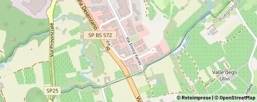 Mappa Salò