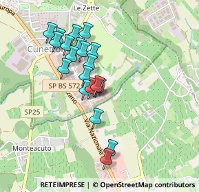 Mappa Via Fermi Enrico, 25087 Salò BS, Italia (0.403)