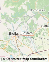 Gioiellerie e Oreficerie - Dettaglio Biella,13900Biella