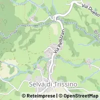Kort Trissino