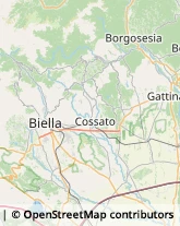 Elettrauto Biella,13900Biella