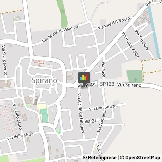 Autoveicoli Elettrici Pumenengo,24050Bergamo