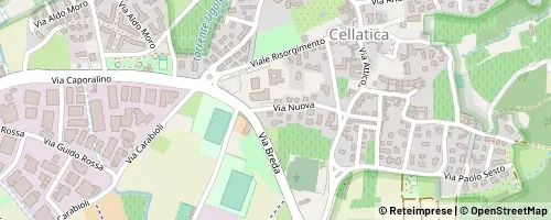 Mappa Cellatica