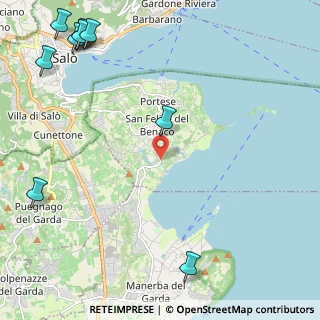 Mappa Via Porto San Felice, 25010 San Felice del Benaco BS, Italia (3.48273)