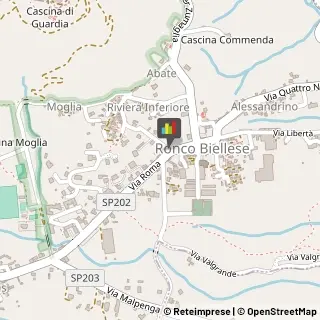 Ceramiche Artistiche Ronco Biellese,13845Biella