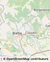 Asili Nido Ponzone,13835Alessandria