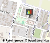 Articoli ed Alimenti per Animali Domestici - Dettaglio,20864Monza e Brianza