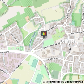 Feste - Organizzazione e Servizi,25060Brescia