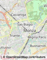 Trasporto Disabili Monza,20900Monza e Brianza