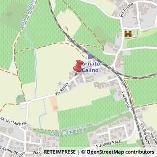 Mappa Via roma 31, 25046 Cazzago San Martino, Brescia (Lombardia)