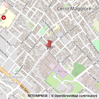 Mappa Via Dante Alighieri,  29, 20023 Cerro Maggiore, Milano (Lombardia)