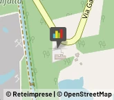 Massaggi Oleggio,28047Novara