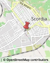 Macellerie Scordia,95048Catania