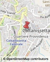 Piante e Fiori - Ingrosso Caltanissetta,93100Caltanissetta