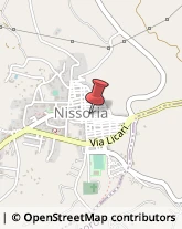 Piante e Fiori - Dettaglio Nissoria,94010Enna