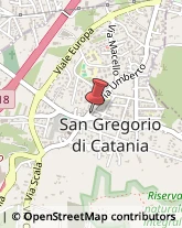 Via Umberto, 59/61,95027San Gregorio di Catania