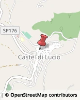 Piante e Fiori - Dettaglio Castel di Lucio,90010Messina