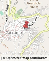 Assicurazioni Caccamo,90012Palermo