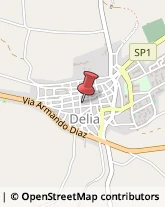 Ristoranti Delia,93010Caltanissetta