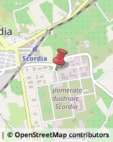 Agrumi Scordia,95048Catania