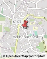 Animali Domestici - Toeletta Aci Bonaccorsi,95020Catania