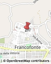 Piante e Fiori - Dettaglio Francofonte,95049Siracusa