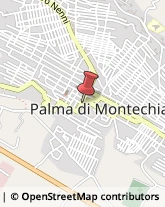 Banche e Istituti di Credito Palma di Montechiaro,92020Agrigento