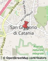 Asili Nido San Gregorio di Catania,95027Catania