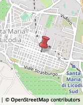 Agenti e Rappresentanti di Commercio Santa Maria di Licodia,95047Catania