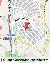 Supermercati e Grandi magazzini Gibellina,91024Trapani